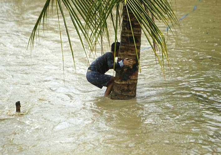 Un niño filipino se agarra a una palmera en la ciudad inundada de Zamboaga (Filipinas). Se esperan fuertes lluvias que podrían incrementar las inundaciones debidas al paso de la borrasca tropical “Marilyn” por el territorio, que realza el monzón del suroeste del país. La combinación de ambos fenómenos meteorológicos podrían ocasionar lluvias intermitentes en muchas partes de Filipinas. EFE/Ben Hajan