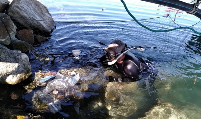 Se alcanzó a remover todo el material y residuos que no son pertenecientes al ecosistema marino y rocoso con ayuda de buzos.