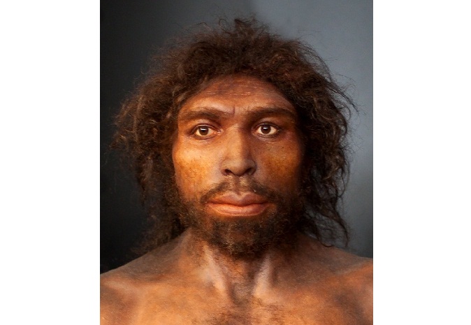 Confirman antigüedad del 'Homo antecessor': entre 772.000 y 949.000 años