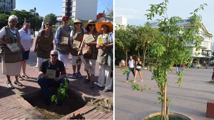 El Dr. Alfonso Vives Campo, director de esta Casa Editorial y promotor del #RetoPiensaVerdeEI, plantó el primer macurutú en el Parque de Bolívar.