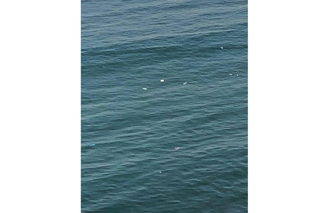 Desechos flotan en el mar
