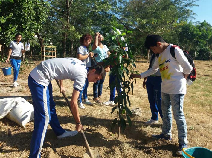 Estudiantes  del IED San Francisco Javier de Garagoa se encargaron de plantar los árboles.