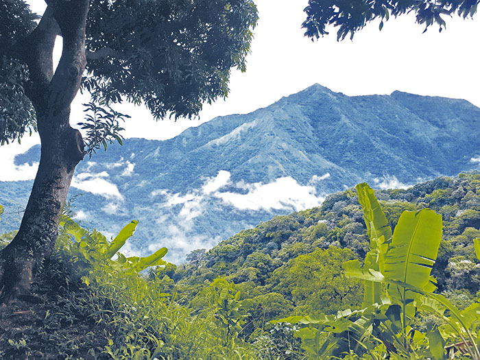 Sierra Nevada de Santa Marta. Foto: Cortesía Ecolsierra