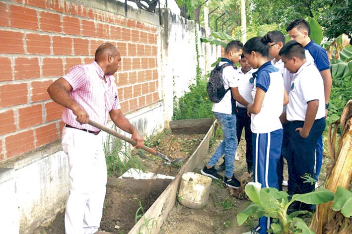 Alumnos del Liceo Samario trabajando en el huerto de su colegio.