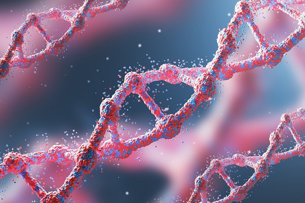 En 1990 se puso en marcha el Proyecto Genoma Humano con el objetivo de descubrir todos los genes humanos y localizarlos a lo largo del genoma, así como comprender la cantidad de ADN codificante que tenemos, adquiriendo conocimientos sobre el desarrollo.