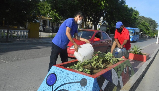 En la avenida del Libertador, a la altura de las instalaciones de EL INFORMADOR, se llevó a cabo la jornada de siembra de plantas nuevas en las jardineras ubicadas en los separadores en frente del periódico.