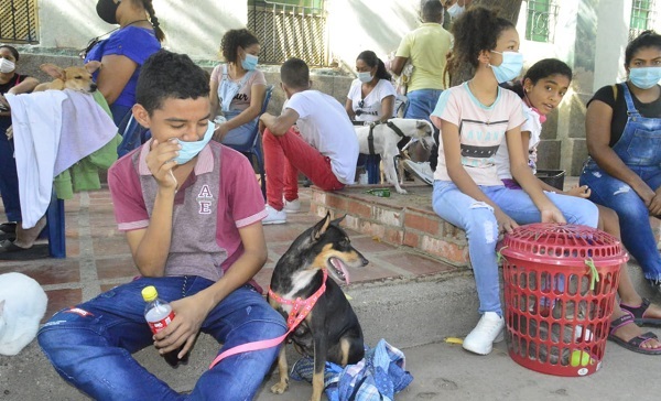 Las jornadas de esterilización se realizan con el apoyo de veterinarios certificados y personal idóneo para la atención de los animales.