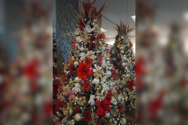 Un árbol de Navidad bien decorado llena de calidez y belleza cualquier hogar. Su presencia ayuda a crear un ambiente festivo, alegre y acogedor que invita a la celebración.