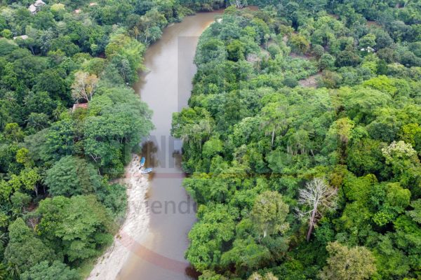 Un río, una selva, un destino mágico: así te da la bienvenida el Don Diego. Derechos Reservados/ELINFORMADOR