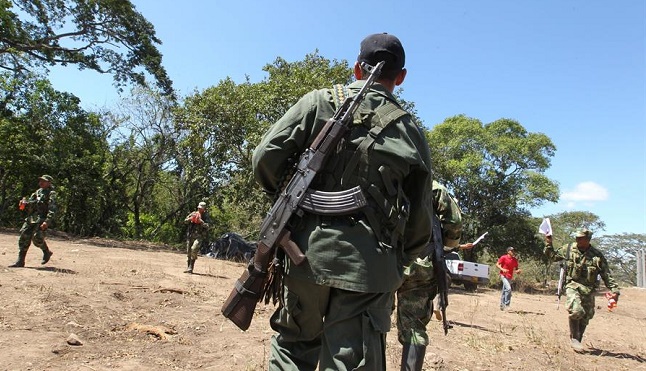 Fuerzas Armadas venezolanas entran en tregua con las guerrillas de las Farc en zona limítrofe de Colombia y Venezuela.