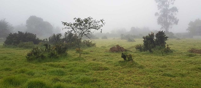 El Ministerio de Agricultura, Ideam y FAO han desarrollado diversas plataformas digitales para brindar información y soporte a los productores.