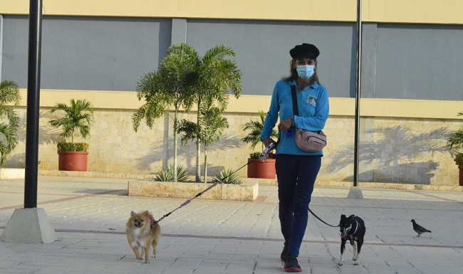 A diario los perritos se ejercitan, juegan, corren y se divierten en los paseos. 