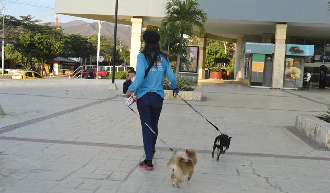 La señora Prudencia Barreneche pasea solo dos perros a la vez, “tengo solo dos manos”, explica. 