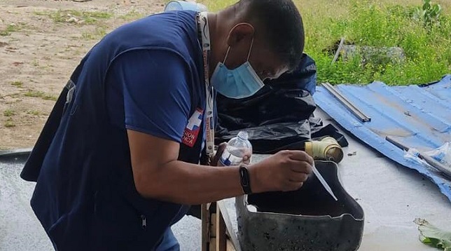 El aumento de mosquitos podría incrementar las cifras de contagios de dengue y enfermedades relacionadas.