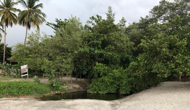 Este fue el resultado de la ardua jornada de limpieza en el manglar de Playa Dormida.