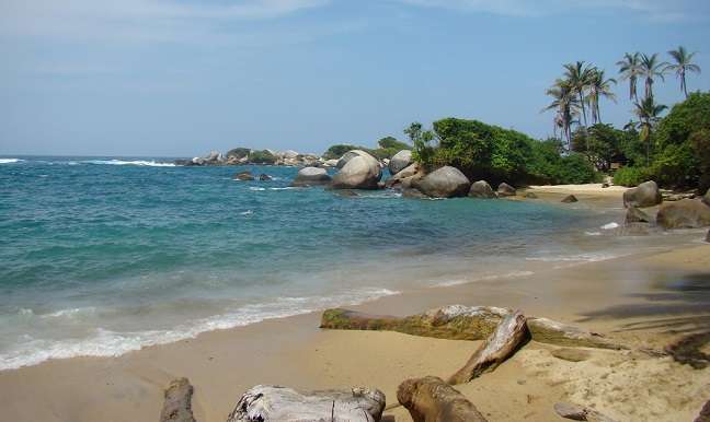 El Parque Tayrona está cerrado desde marzo de este 2020, por la emergencia sanitaria generada en el país a causa del coronavirus. 