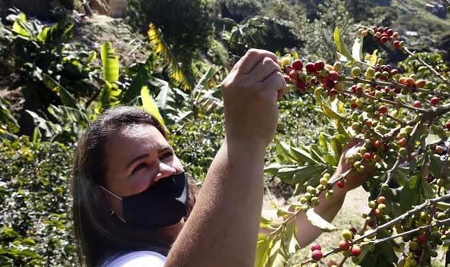 De la mano de cafeteros que habitan en sus montañas, de artistas afro que se aferran a sus raíces y de campesinos desplazados que hacen memoria en huertas urbanas, el barrio La Sierra, ubicado en la Comuna 8 de Medellín, experimenta una transformación social.