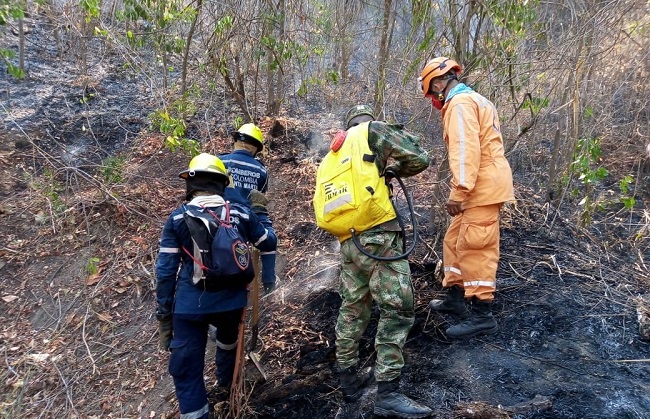 Hacia la mitad de enero de 2020, en el Magdalena ya se habían registrado más de 50 incendios.