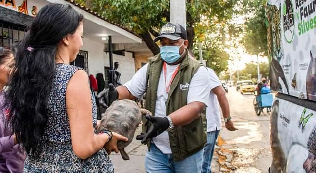 200 reptiles han sido recuperados por la Unidad Móvil del Dadsa
