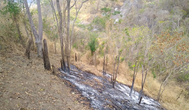 Asistencia del cuerpo de Bomberos en la parte alta de los cerros de Don Jaca
