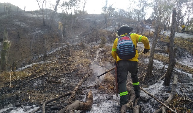 La conflagración habría sido originada por habitantes del sector 