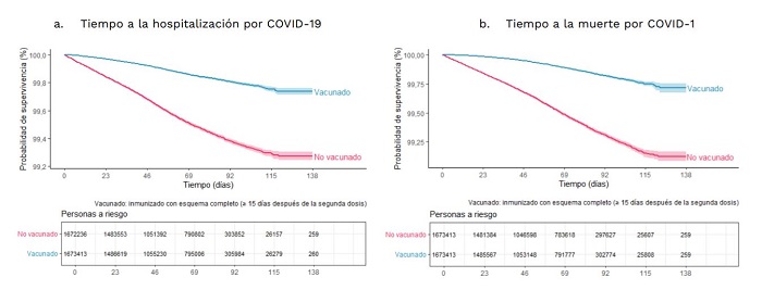 Curvas de supervivencia de Kaplan-Meier para adultos mayores de 60 años, vacunados y no vacunados contra el COVID-19. Colombia, 2021. Fuente: estudio publicado por Minsalud.