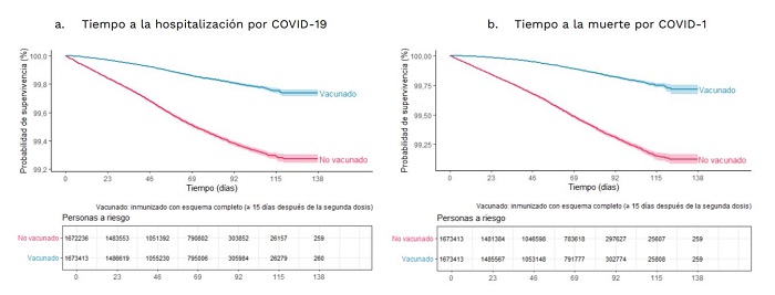Curvas de supervivencia de Kaplan-Meier para adultos mayores de 60 años, vacunados y no vacunados contra el COVID-19. Colombia, 2021. Fuente: estudio publicado por Minsalud.