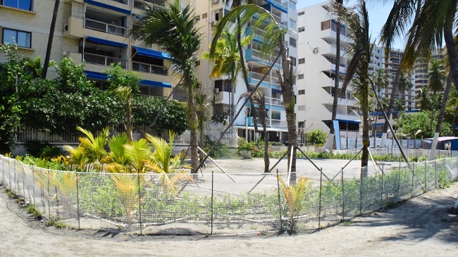 En la imagen se puede observar que el jardín privado está cercado con malla plástica, palmas y matas.