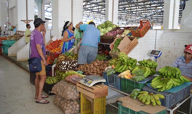 La venta de los Guineos Verdes están por las nubes en plazas de mercado, tiendas y ventas ambulantes en los diferentes municipios del Magdalena.