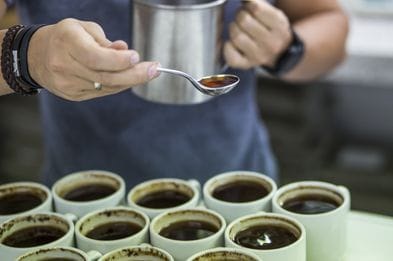 Según el Departamento Administrativo Nacional de Estadística (DANE), Colombia exportó 112,1 millones de dólares en café a los países nórdicos en 2021.