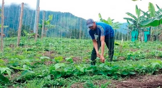 Los beneficiarios de El Campo Emprende tendrán acceso a productos y servicios microfinancieros con tasas de interés preferenciales.