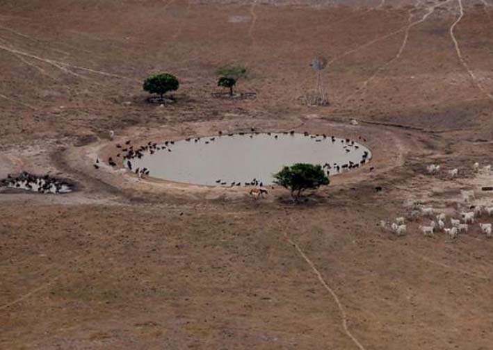 La reducción en las lluvias a causa de este fenómeno afectará especialmente a las regiones Andina y Caribe.