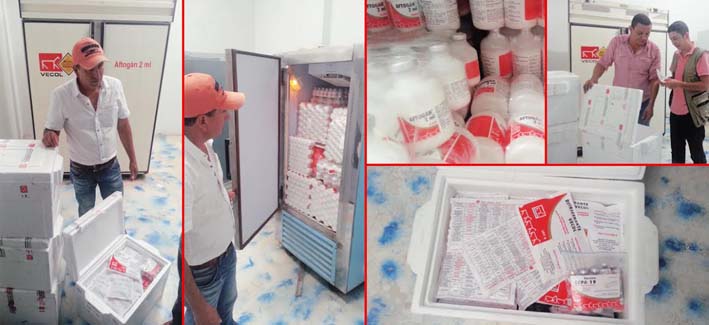 Vacunación contra fiebre de Aftosa.