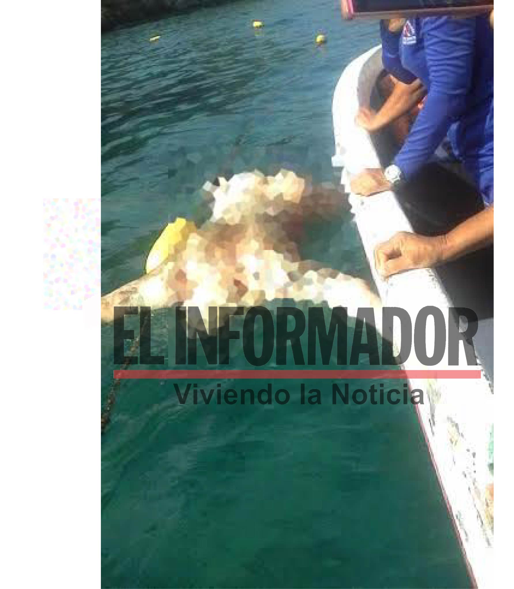HCortesía pescadores Asoplam en exclusiva para El Informador.