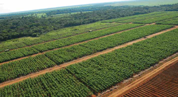 Esta decisión se toma luego de valorar los informes presentados por la Contraloría Delegada del Sector Agropecuario.
