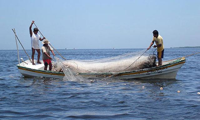Atarraya' de tradiciones, festival de pesca