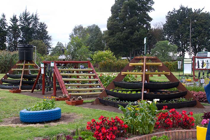 Agrosavia actualmente tiene un módulo de agricultura urbana en su Centro de Investigación Tibaitatá.