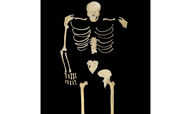 El esqueleto hallado estaba en posición fetal y en buen estado de conservación, por lo que podrá soportar análisis a nivel de antropología física y también genéticos.