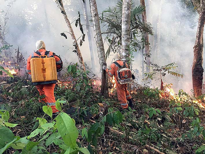 Muestra una de las conflagraciones de los grandes incendios que azotan la amazonía brasileña, en Porto Velho, capital del estado Amazonas