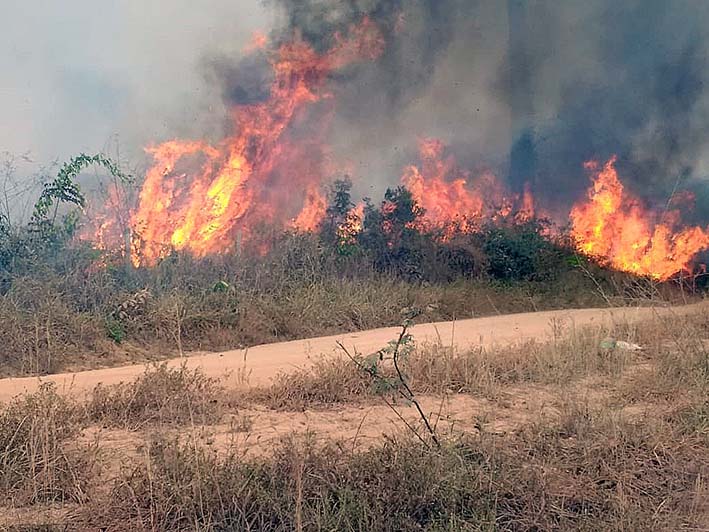 Las llamas continúan devorando la selva amazónica en medio de una creciente indignación popular, una tragedia que las organizaciones ecologistas achacan a la 
