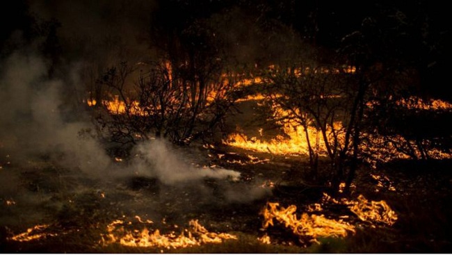 La Región de Valparaíso es la más afectada debido a las conflagraciones a causa de las sequias y las altas temperaturas.