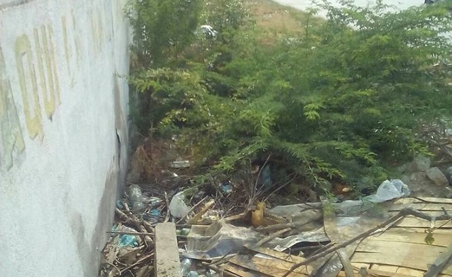 Crece la pila de basuras y animales muertos en las inmediaciones de la edificación donde funcionó la cárcel de Ciénaga.