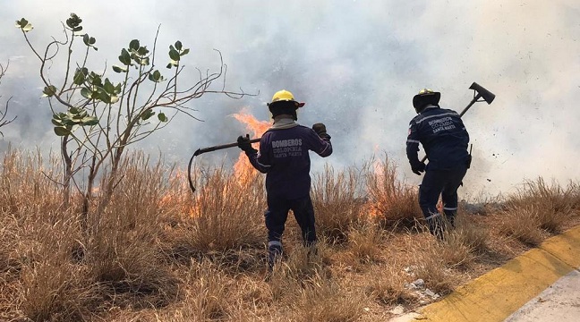 Once miembros del Cuerpo de Bomberos se encargaron de apagar las severas llamas que consumían parte del Cerro Ziruma, evitando la dispersión de estas.
