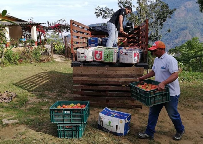 La población rural del Magdalena tiene vocación agrícola por lo que aporta a esta economía  que es la tercera más importante del Departamento con aproximadamente el 14% de su PIB.