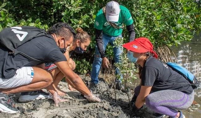 Patricia Caicedo, directora del Dadsa, explicó que los humedales son la ‘salacuna’ de especies de peces como lebranches, robalos, entre otras que vienen a los humedales, desovan, crecen en ellos y cuando ya están listos regresan al mar producto del intercambio de agua dulce y salada.