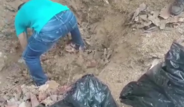 Los más de 500 kilos de cocaína fueron hallados enterrados.