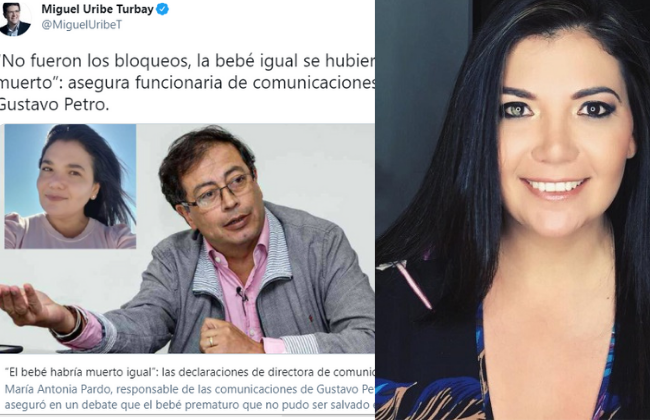 Foto referencia