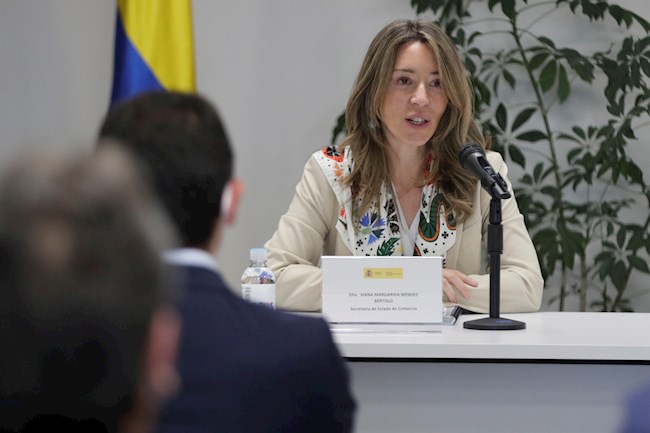 La secretaria de Estado de Comercio de España, Xiana Méndez Bértolo habla hoy, durante una reunión con empresarios españoles, en el marco de su visita a Bogotá (Colombia).EFE