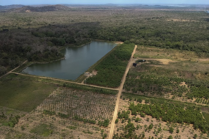 Colombia tiene la meta de restaurar al menos 9000 hectáreas (ha) de coberturas de pastos en la región Caribe y 3200 ha. de bosque seco en La Guajira.