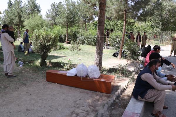 Foto referencia